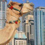 Apollo startar direktcharter till Dubai